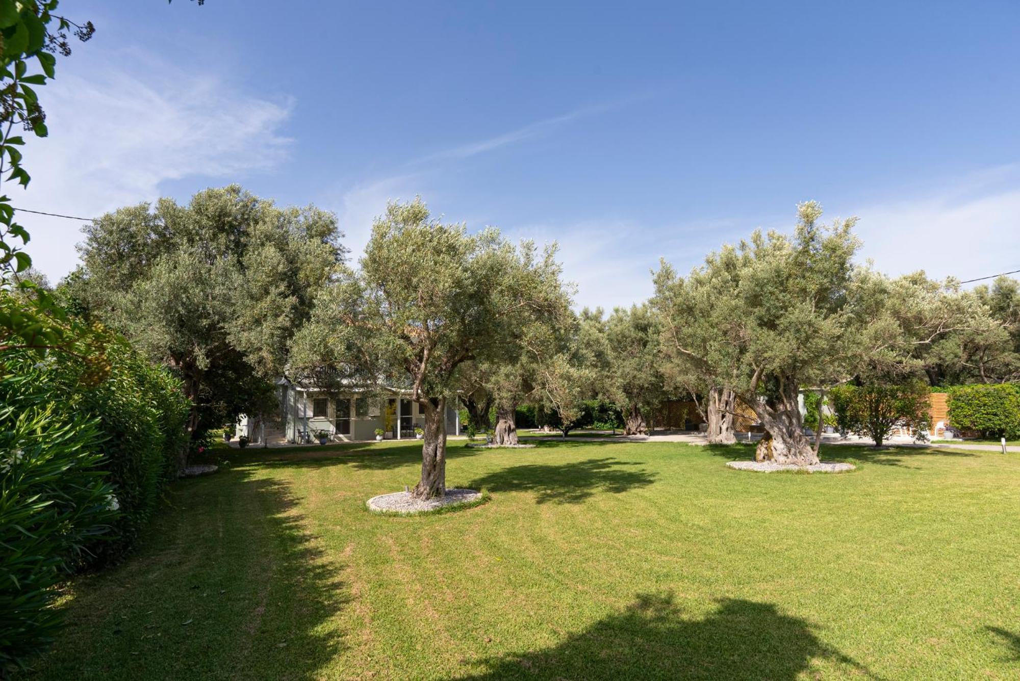 Elaia - Apartments & Studios Лефкада Экстерьер фото